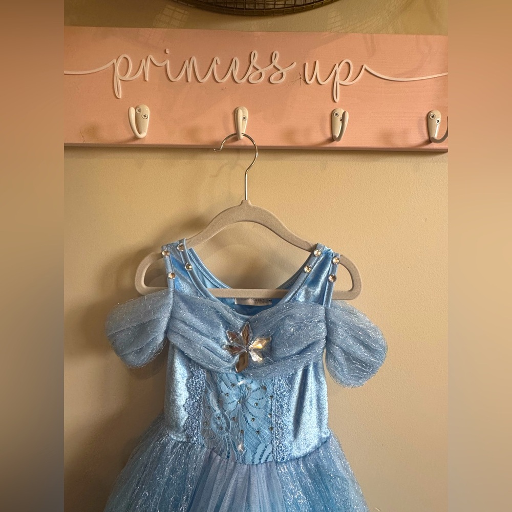Trish Scully Queen of the Kingdom (Cinderella) dress
